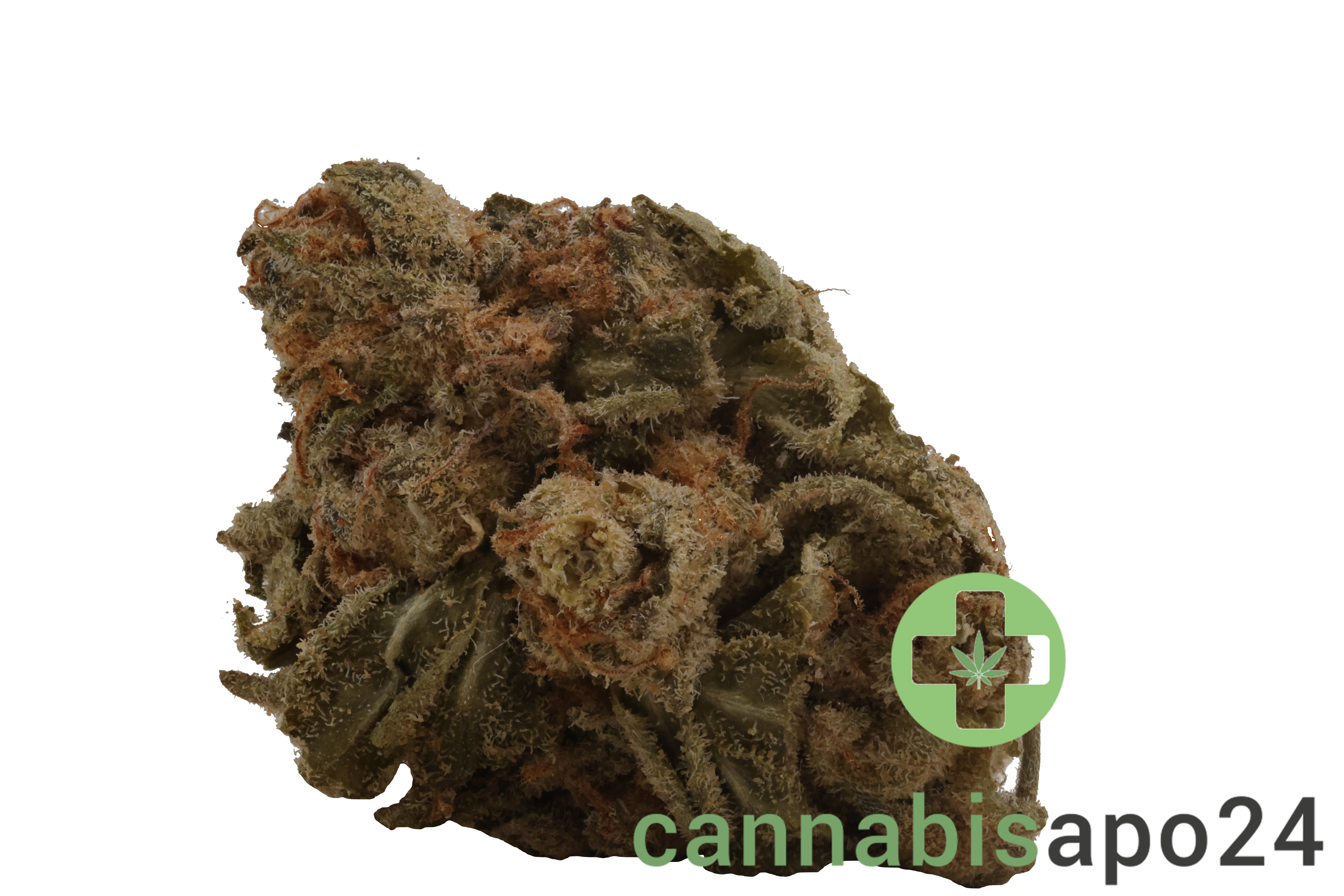 Medical Saints 24/1 ACB Acai Berry