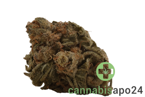 Medical Saints 24/1 ACB Acai Berry