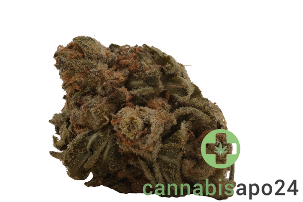 Medical Saints 24/1 ACB Acai Berry