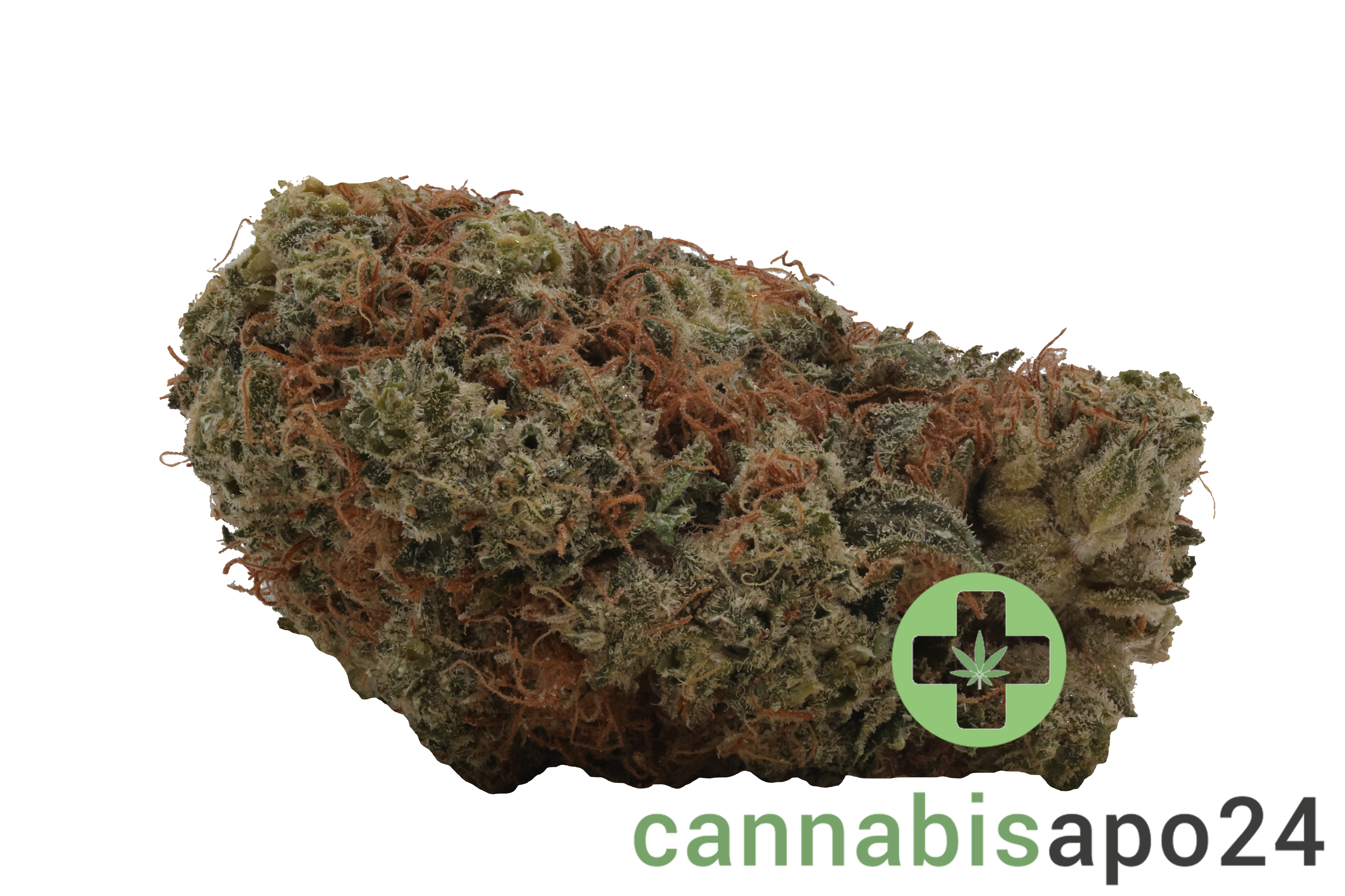 Medical Saints 24/1 PLC Platinum Garlic