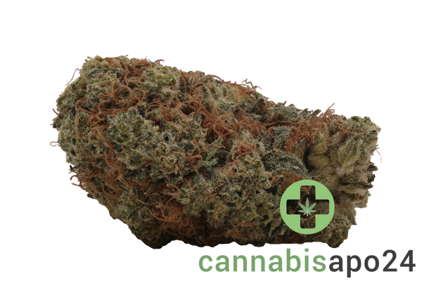 Medical Saints 24/1 PLC Platinum Garlic