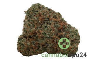 Medical Saints 27/1 PKG Pink Gas