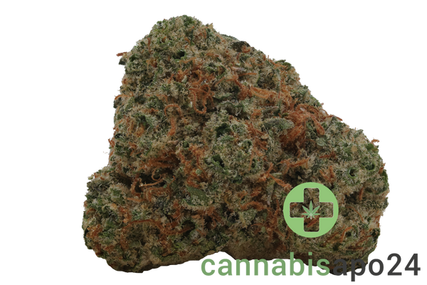 Medical Saints 27/1 PKG Pink Gas