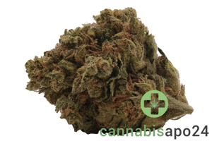 Medicus 21/1 EZA FCO Frosted Cookies