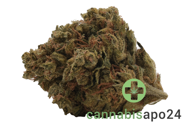 Medicus 21/1 EZA FCO Frosted Cookies