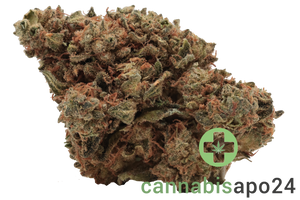 Medicus 21/1 EZA WEC Wedding Cake