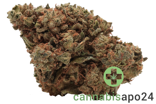 Medicus 21/1 EZA WEC Wedding Cake