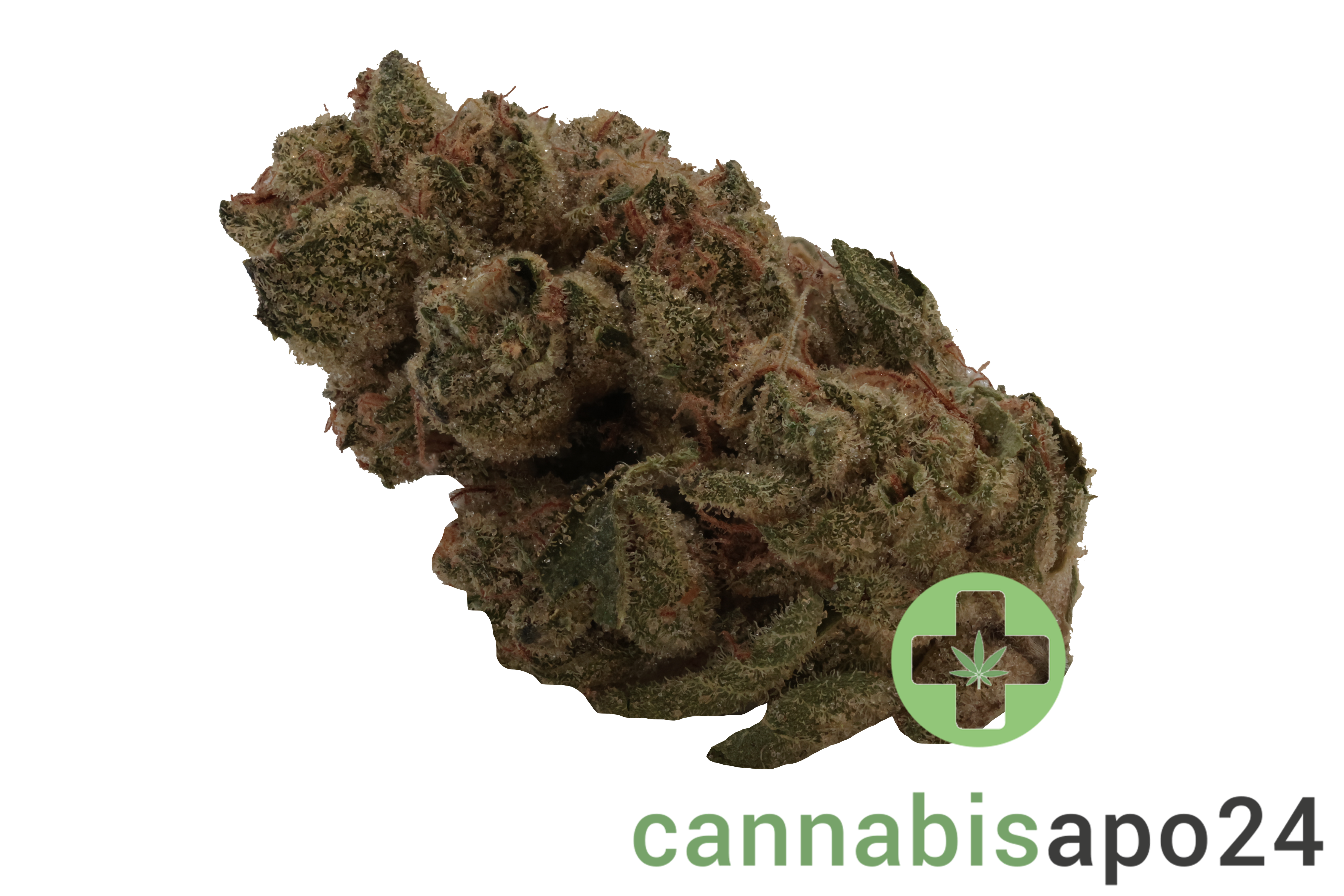 Medicus 27/1 EZA GMO