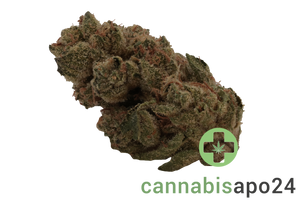 Medicus 27/1 EZA GMO