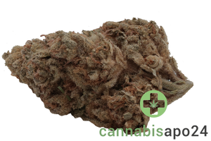 mediprocan African Ruby 30/1 Black Cherry Punch