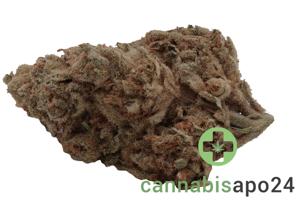 mediprocan African Ruby 30/1 Black Cherry Punch