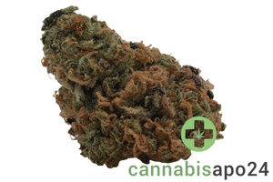 mediprocan Calyx Pure 30/1 OG - OG Kush