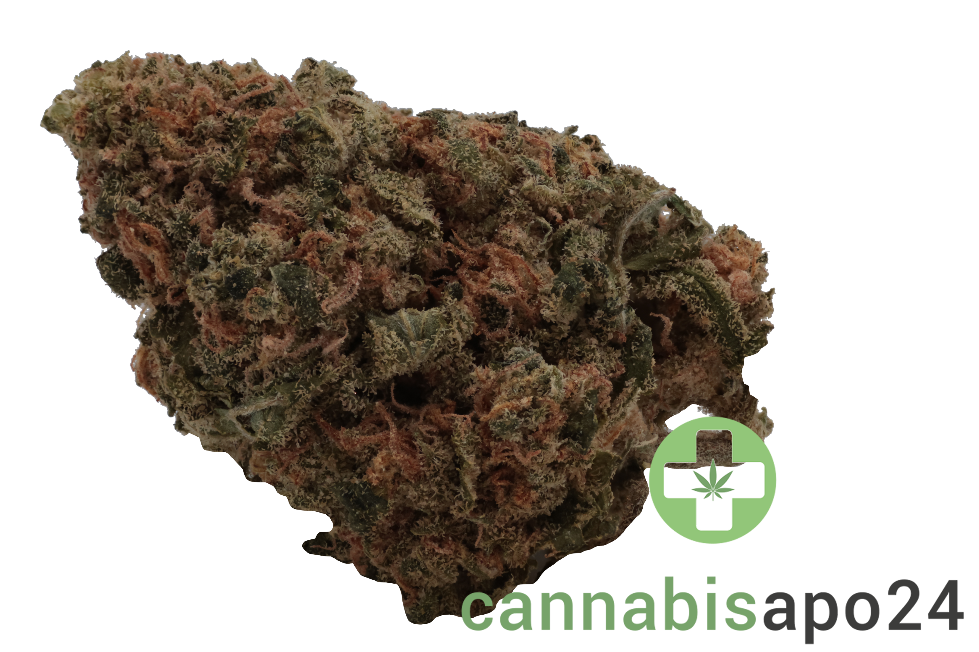 Mediprocan Lunaris 25/1 Capri Haze