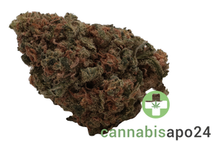 Mediprocan Lunaris 25/1 Capri Haze