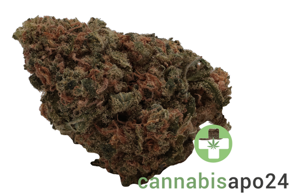Mediprocan Lunaris 25/1 Capri Haze