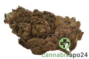 MH Medplant Wedding Cake 15/1