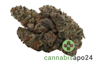 35/1 Natural Buds BBY Blockberry