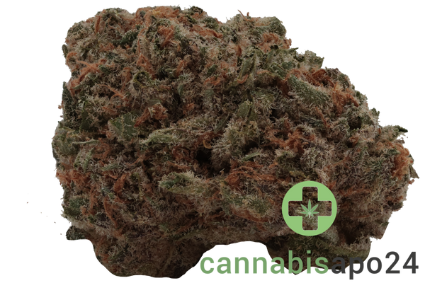 Nedcann GHC 22/01 Chemical Bride