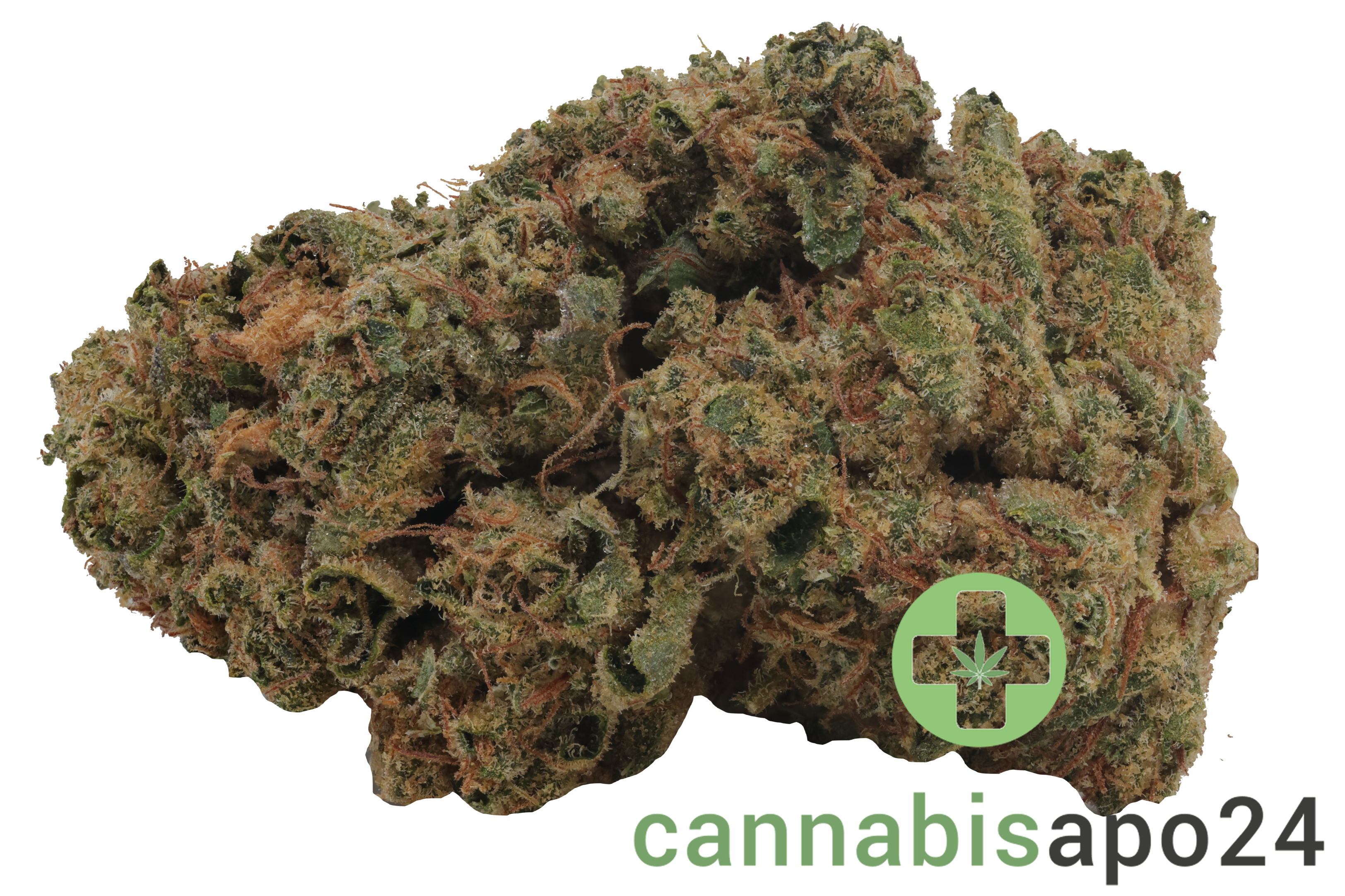 Nice 22/1 WCA Wedding Cake