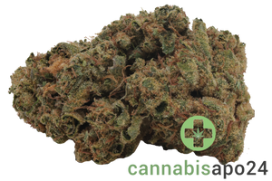 Nice 22/1 WCA Wedding Cake