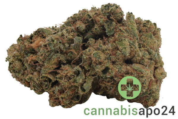 Nice 22/1 WCA Wedding Cake