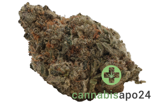 23/1 Nice GCC Grape Cream Cake