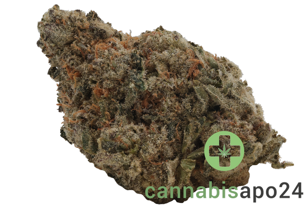 23/1 Nice GCC Grape Cream Cake