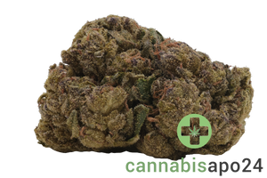 26/1 Nice PJ Platinum Jack