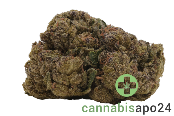 26/1 Nice PJ Platinum Jack