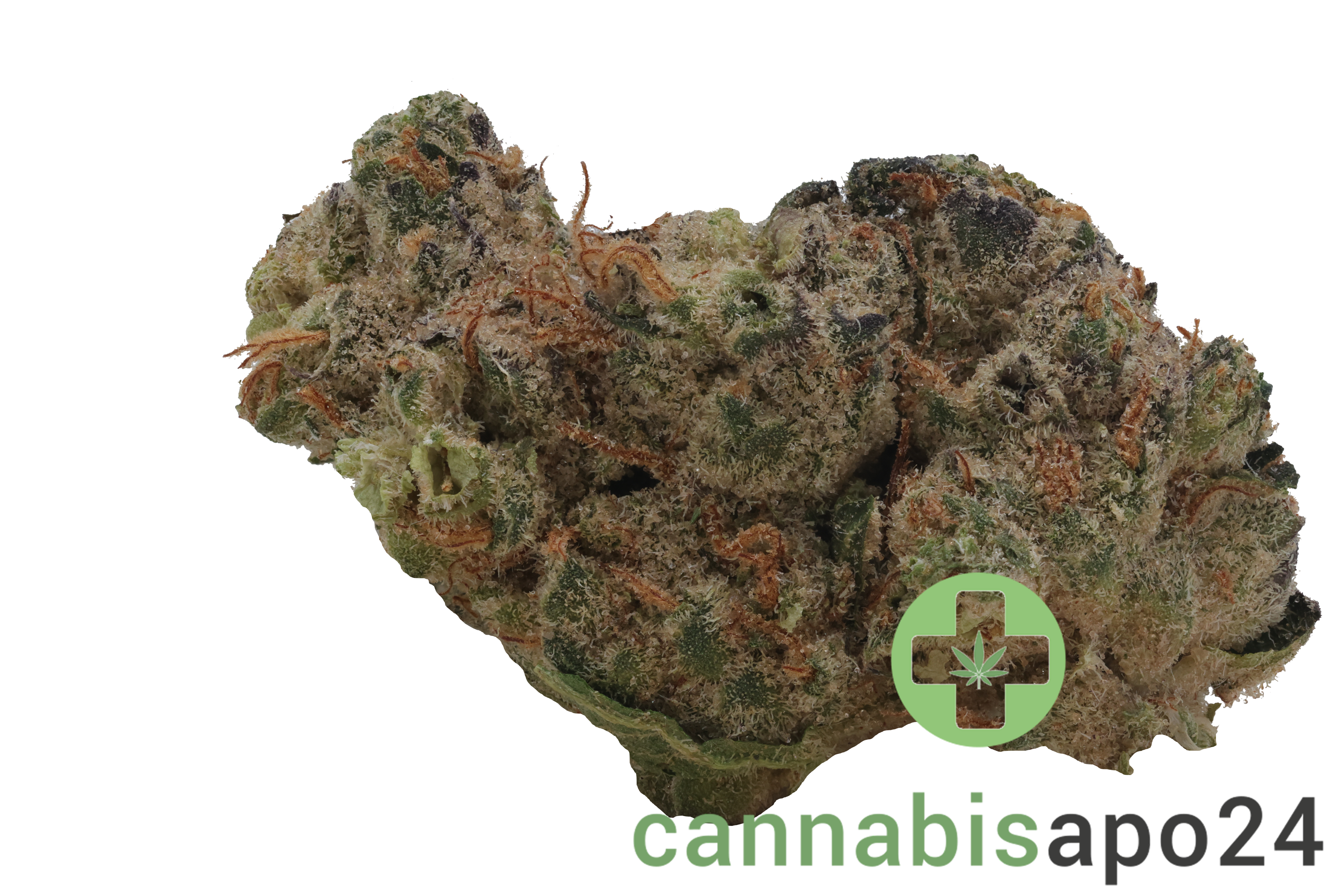 28/1 Nice GSC Girl Scout Cookies