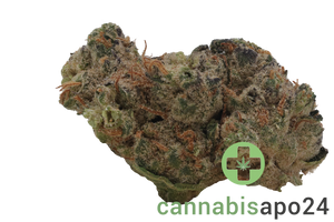 28/1 Nice GSC Girl Scout Cookies