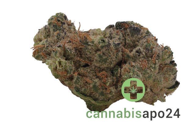 28/1 Nice GSC Girl Scout Cookies
