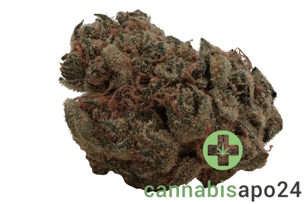 28/1 Nice LK Lemon Kush