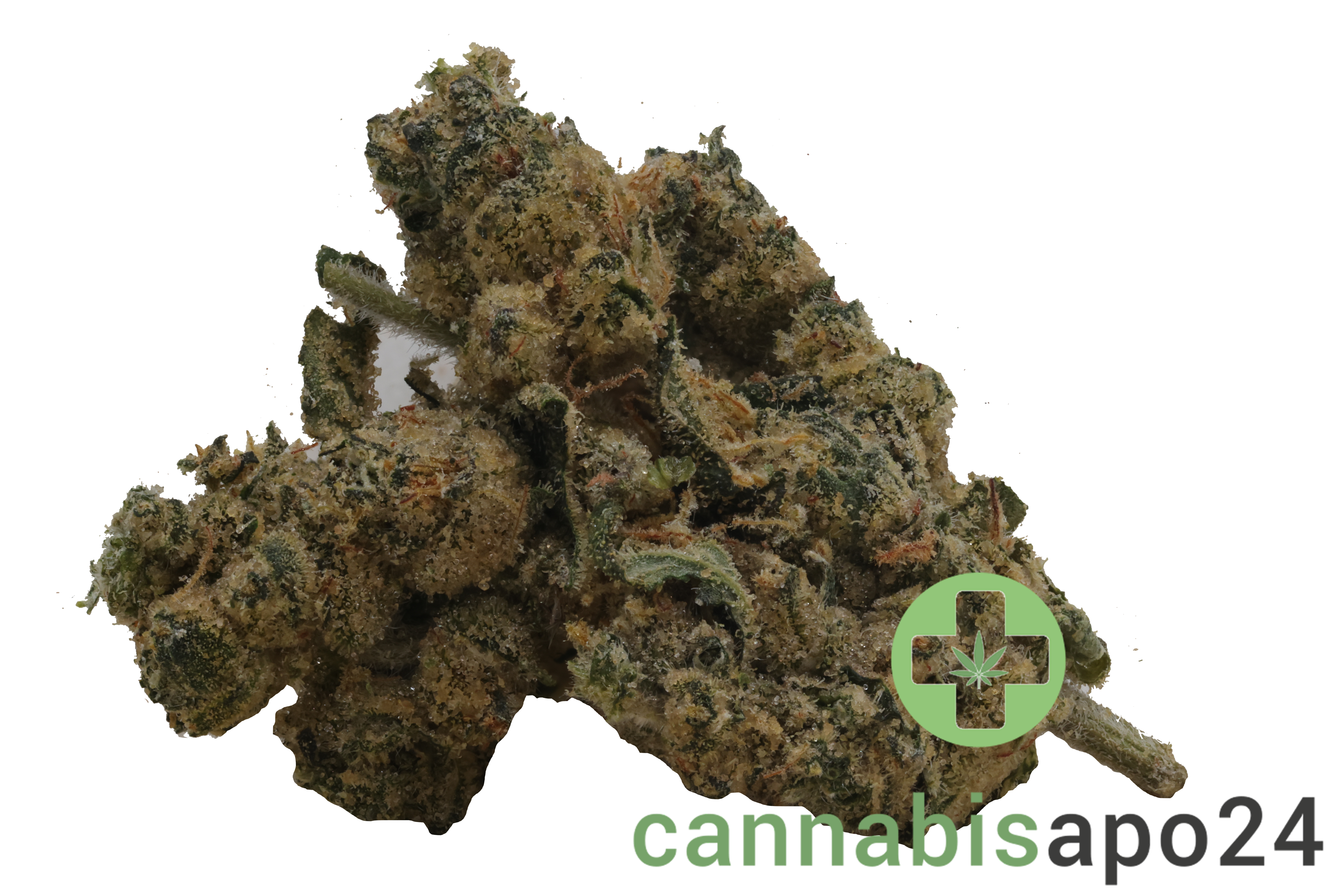 29/1 Nice COG Cookies OG