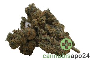 29/1 Nice COG Cookies OG