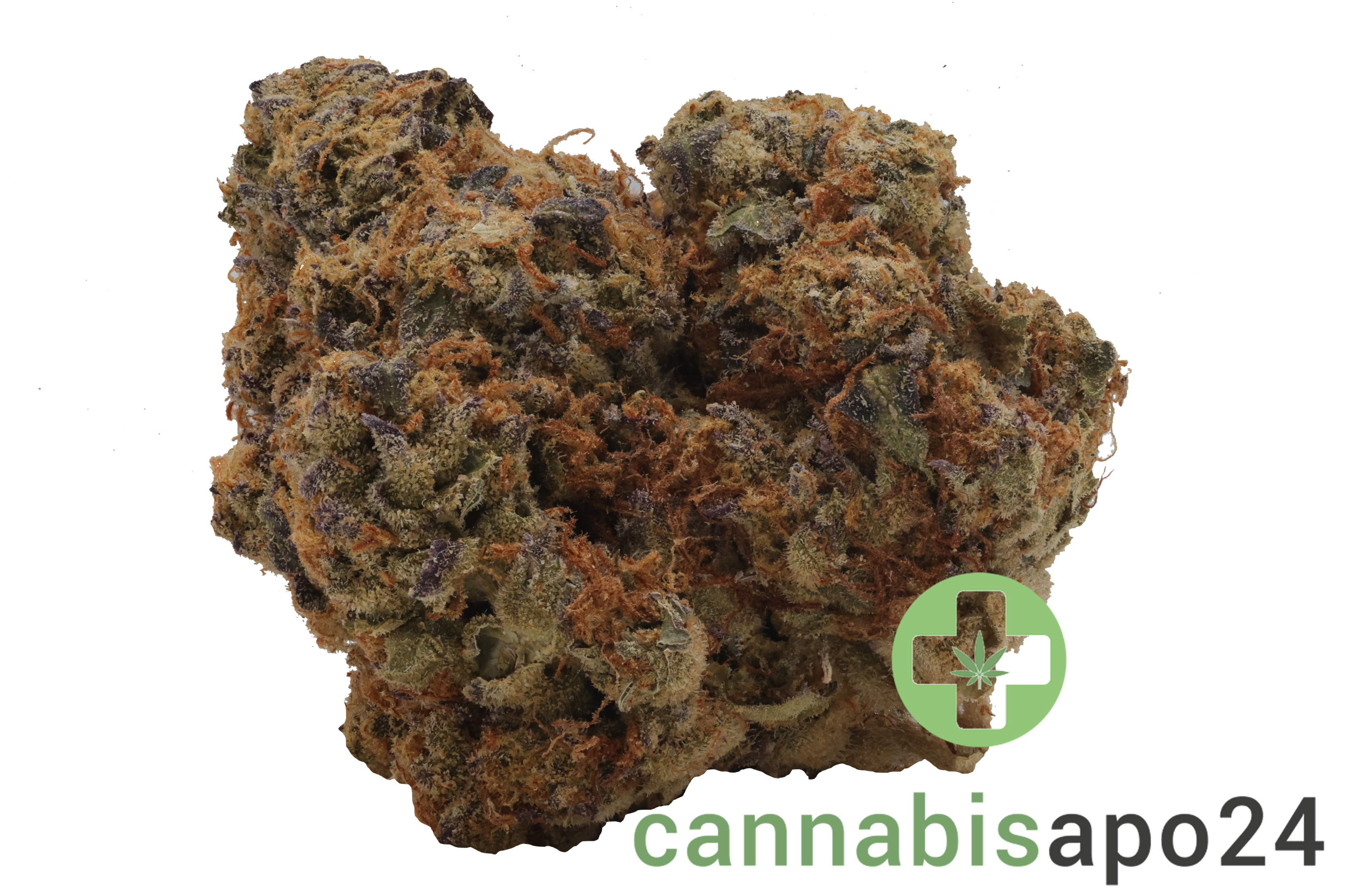 29/1 Nice MOS Morning Sun