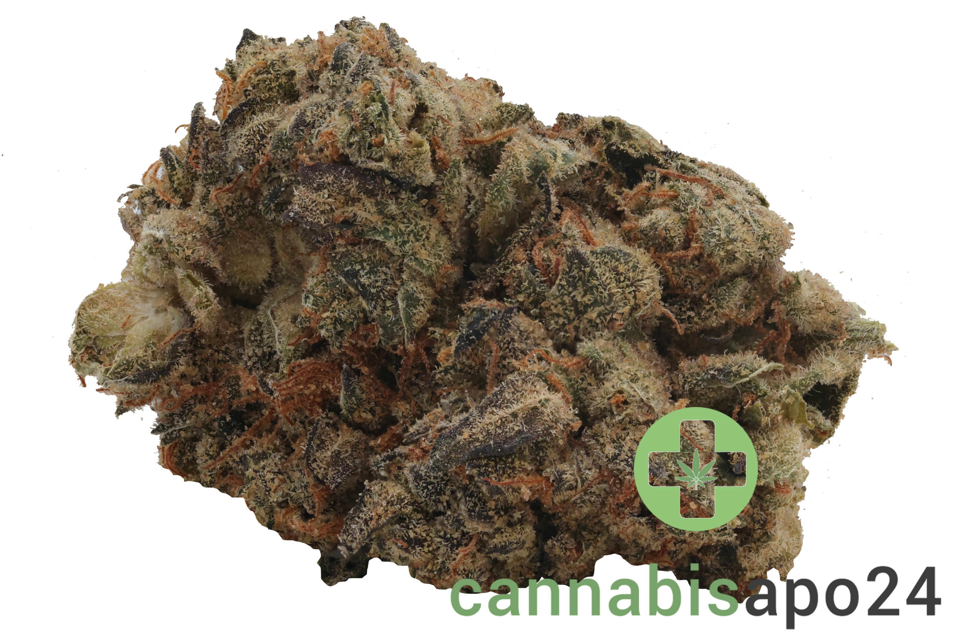 31/1 Nice GSC Girl Scout Cookies