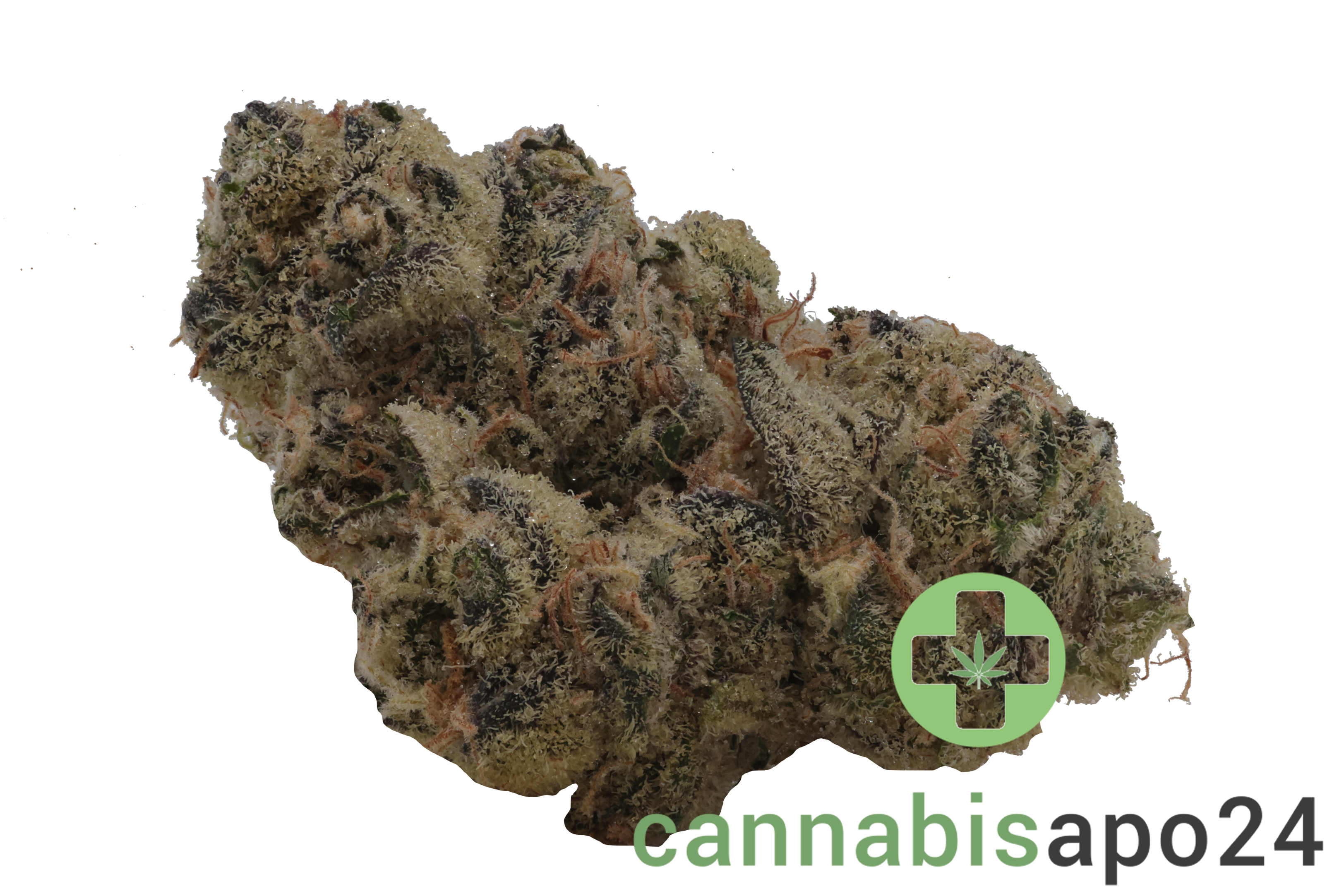 Nice 24/1 LED Legendary Larry