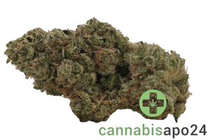 30/1 Nice OZK - OG Kush and Zkittlez