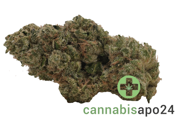 30/1 Nice OZK - OG Kush and Zkittlez