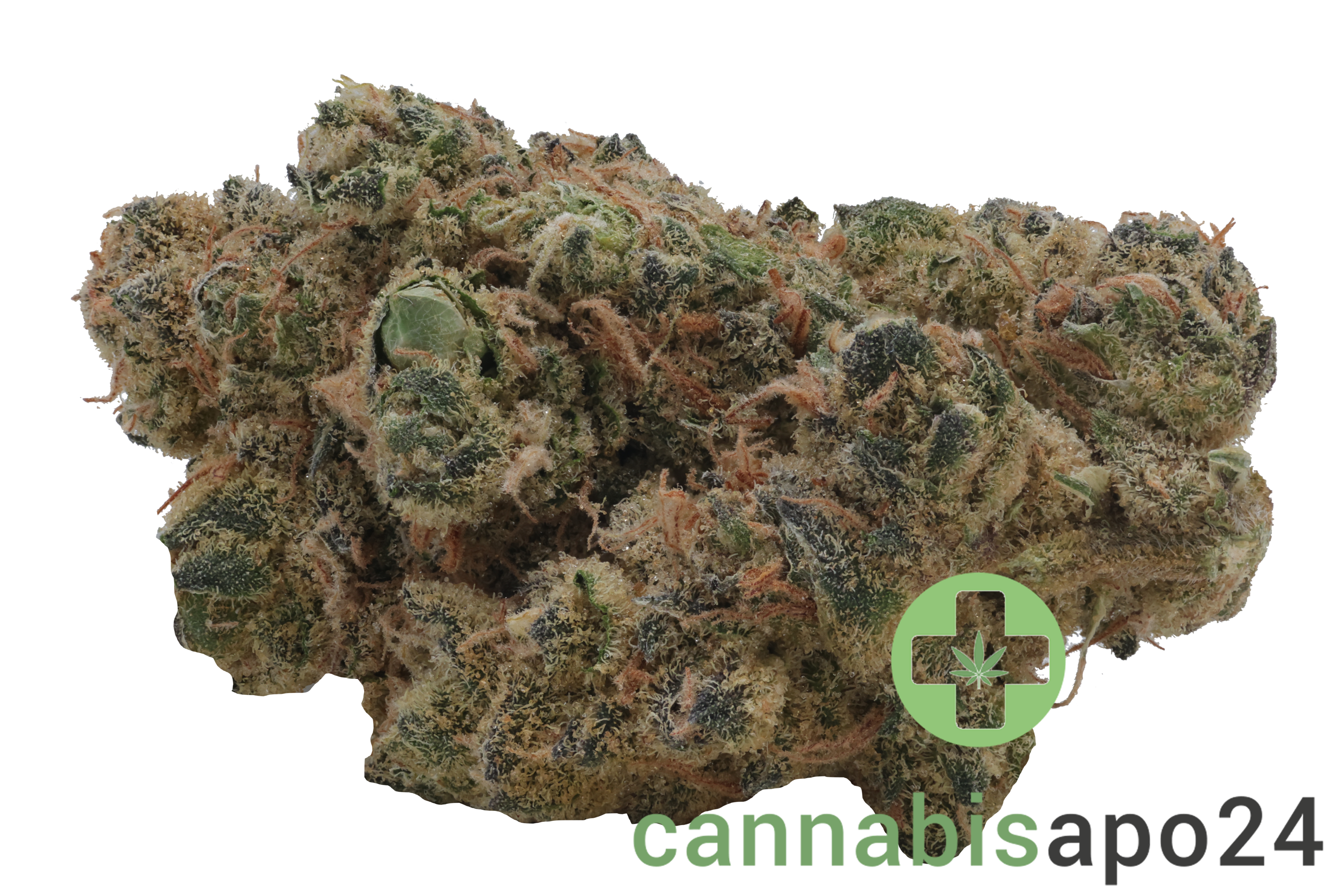 26/1 Nice VC Vanilla Cake