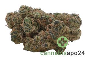 26/1 Nice VC Vanilla Cake