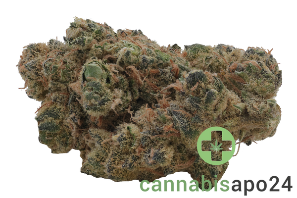 26/1 Nice VC Vanilla Cake