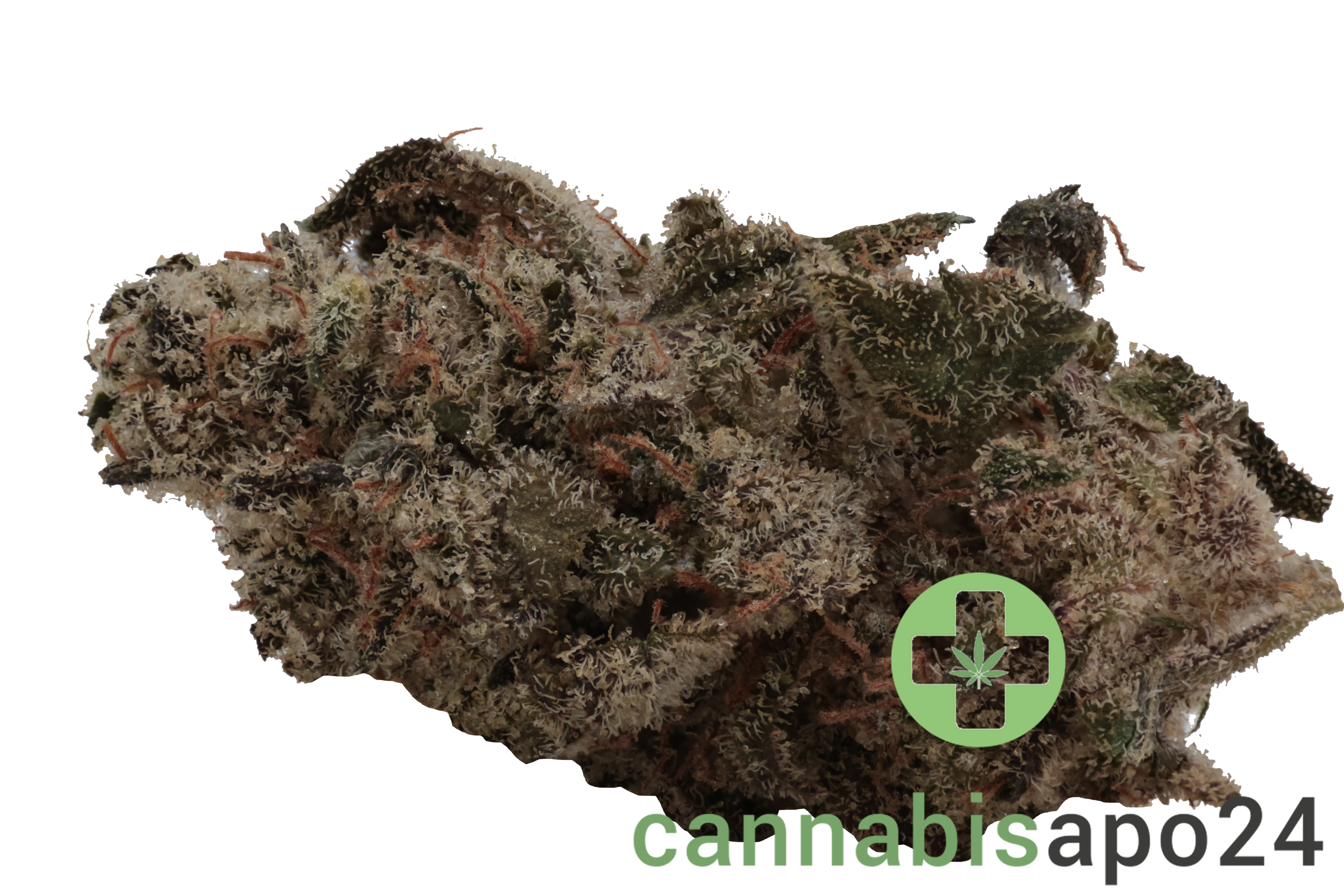 Rua Aotea 23/1 - Kakariki Koha