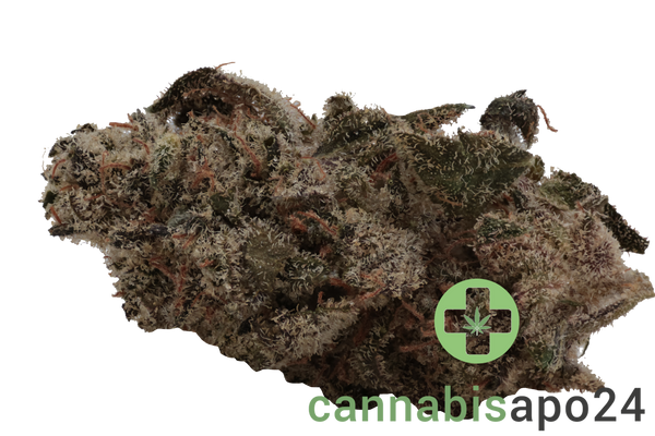 Rua Aotea 23/1 - Kakariki Koha