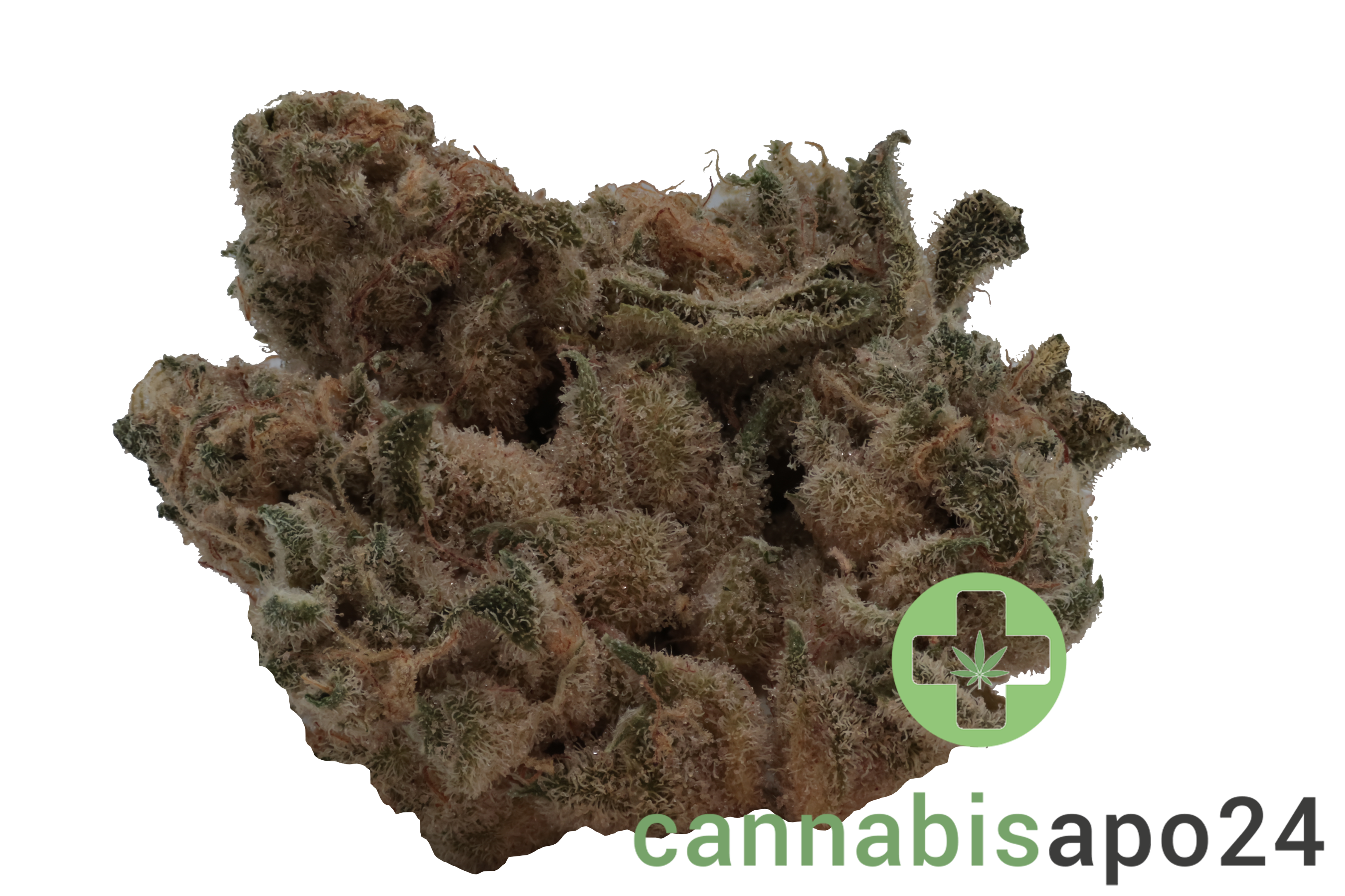 RUA Rau Hiwa 23/1 - Legacy 1