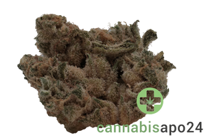 RUA Rau Hiwa 23/1 - Legacy 1