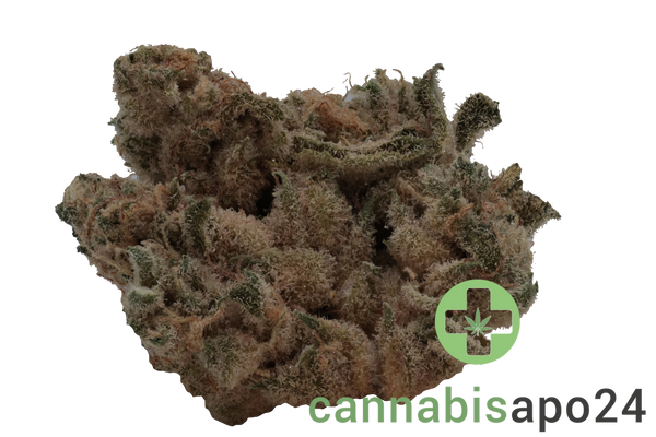 RUA Rau Hiwa 23/1 - Legacy 1