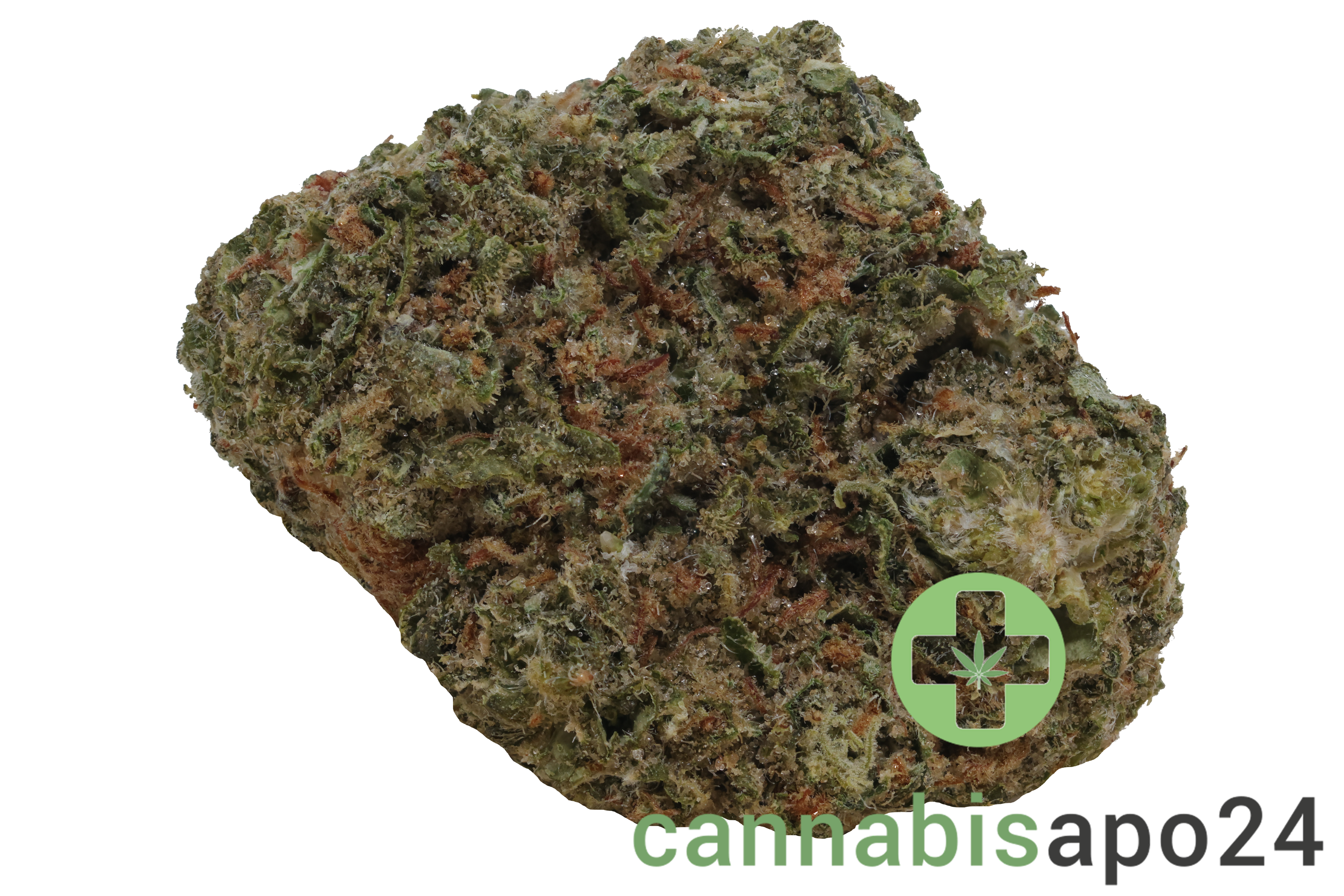 NOC AS 22 ARG Amnesia Kush x Sherbet Shocker