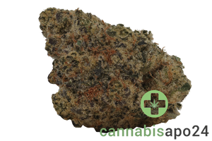 Ono Astrono 25/1 Kush Mint